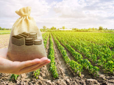 Come ottenere i finanziamenti a fondo perduto agricoltura 2022