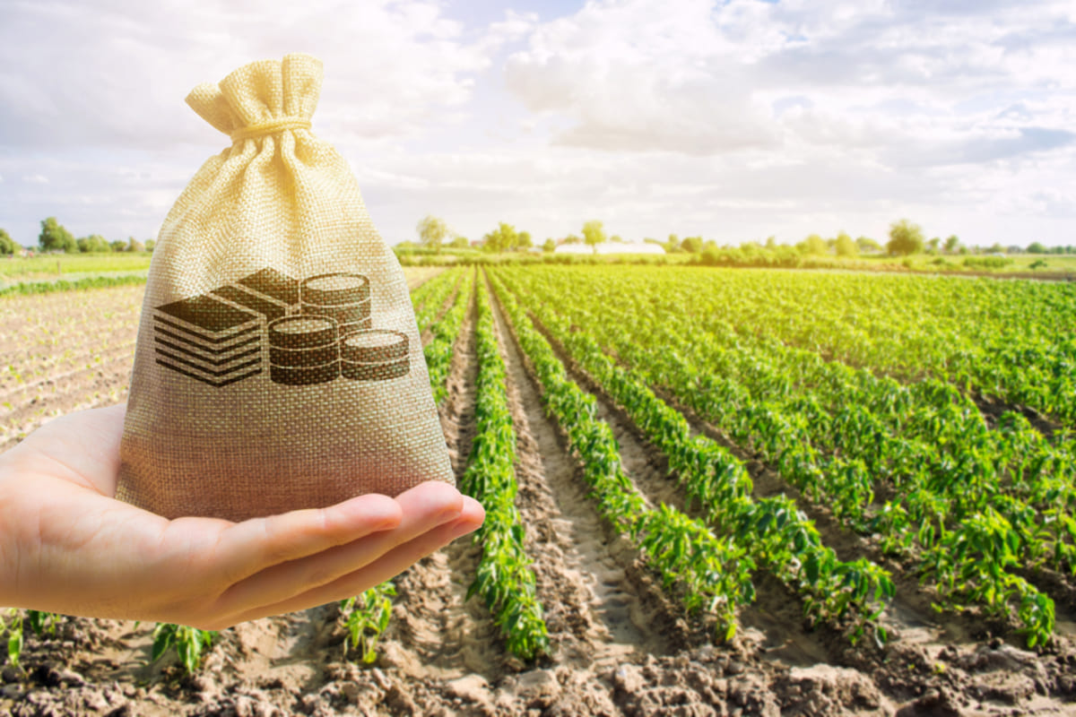 finanziamenti agricoltura