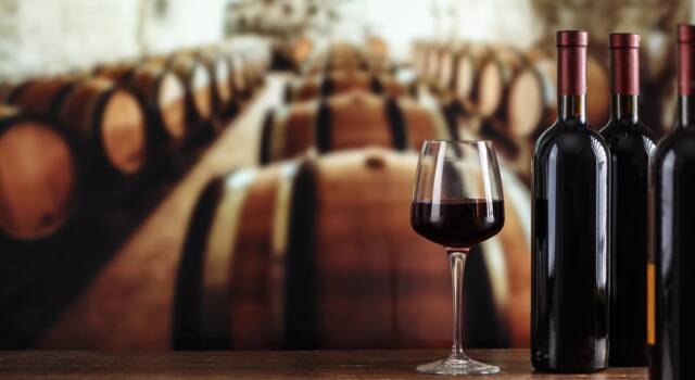 Entrare nel mondo del vino nel 2022: conviene?